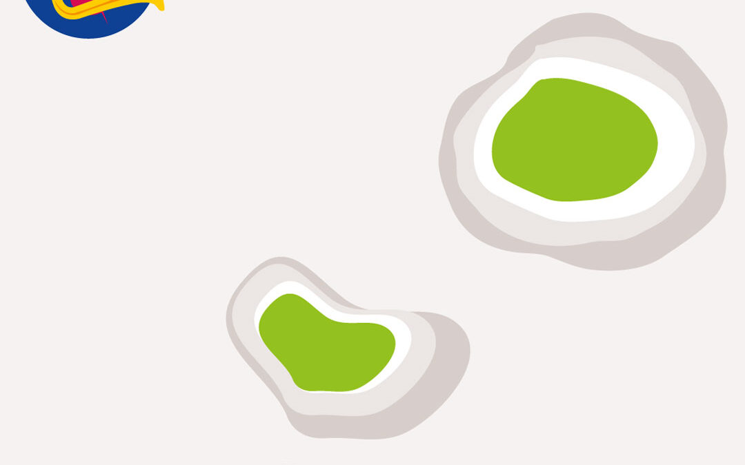 Saturday September 9 – 11.30 am